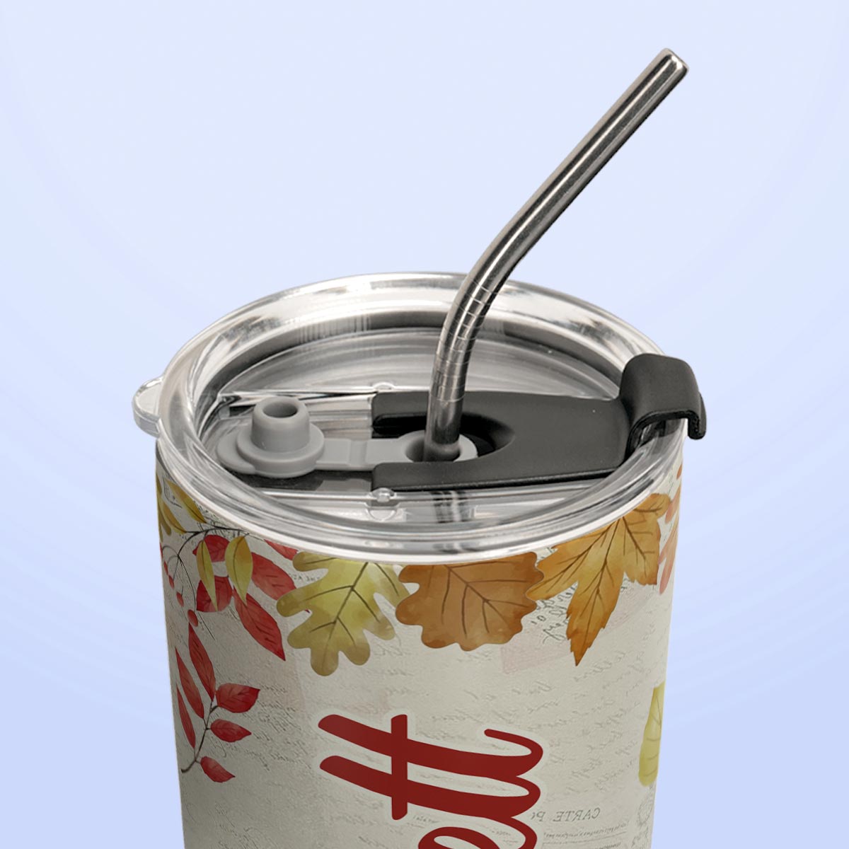 Autumn Pumpkins In The Wheelbarrow HTRZ31080220SD Stainless Steel Tumbler