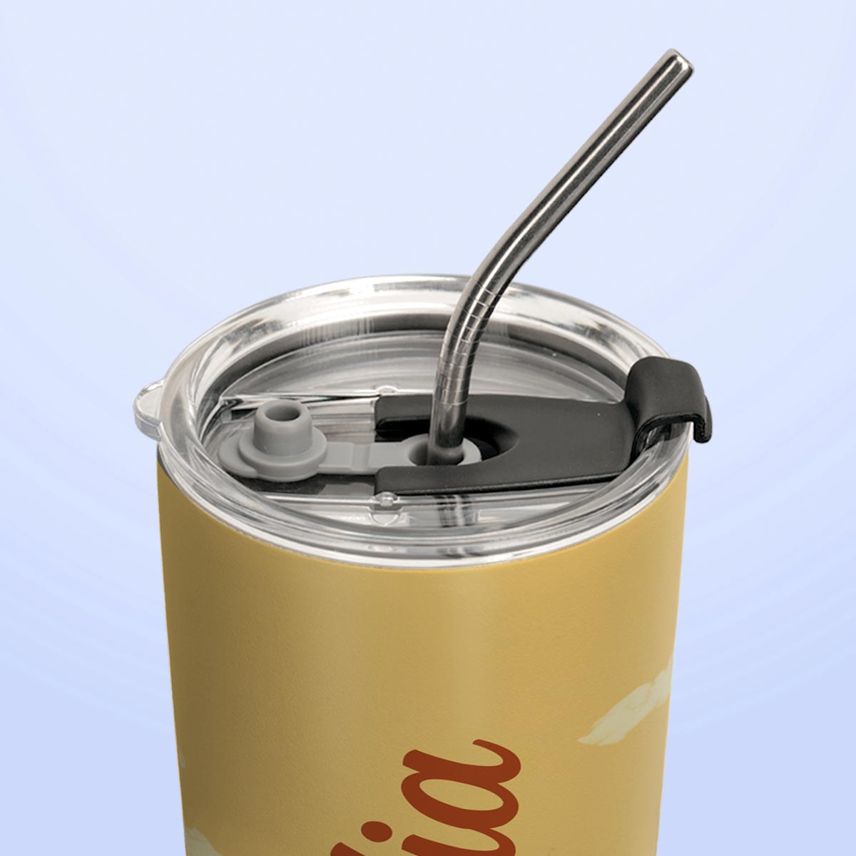 Gardening Wheelbarrow HTRZ25095621YI Stainless Steel Tumbler